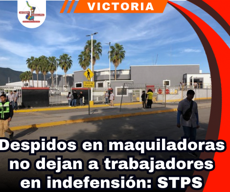 copia-de-portada-notas-2.png
