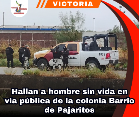 copia-de-portada-notas-2-4.png
