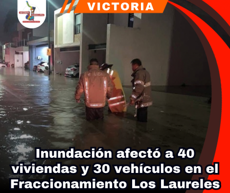 copia-de-portada-notas-2.png