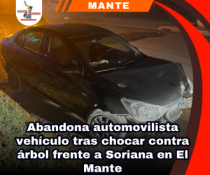 copia-de-portada-notas-2.png