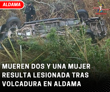 copia-de-copia-de-portada-notas-2-2.png