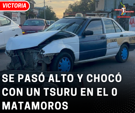 copia-de-copia-de-portada-notas-2-2.png