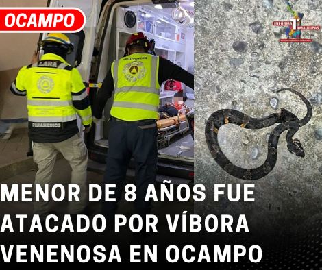copia-de-copia-de-portada-notas-2-2.png