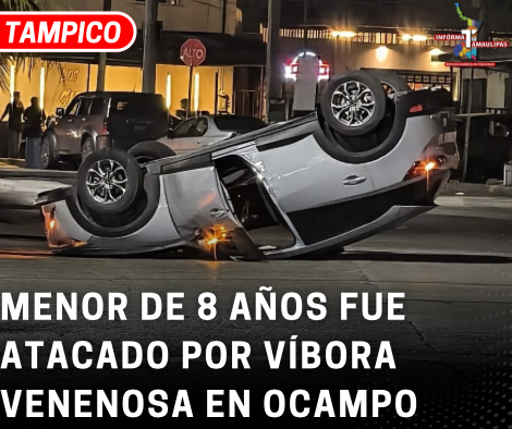 copia-de-copia-de-portada-notas-2-2.png