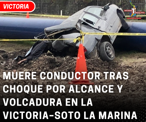 copia-de-copia-de-portada-notas-2-2.png