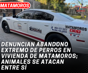 copia-de-copia-de-portada-notas-2-2.png
