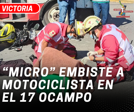 copia-de-copia-de-portada-notas-2-2.png