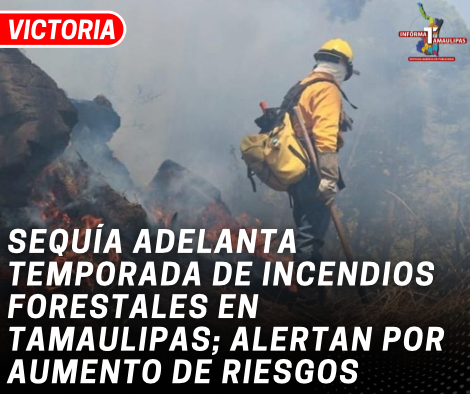 copia-de-copia-de-portada-notas-2-2.png