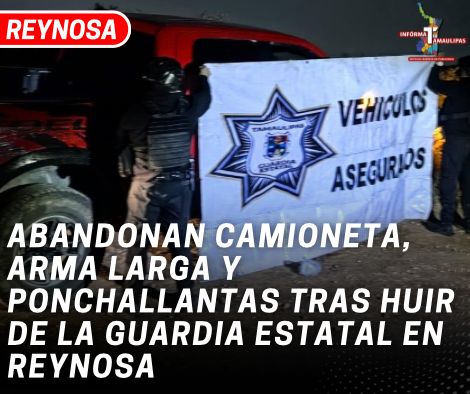 copia-de-copia-de-portada-notas-2-2.png