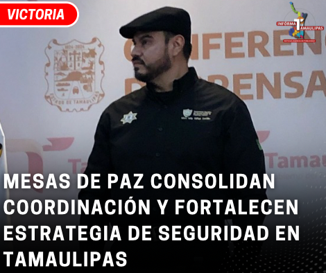 copia-de-copia-de-portada-notas-2-2.png