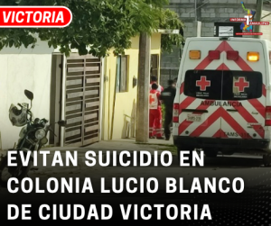 copia-de-copia-de-portada-notas-2-3.png
