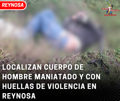 copia-de-copia-de-portada-notas-2-3.png
