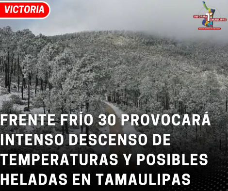 copia-de-copia-de-portada-notas-2-4.png