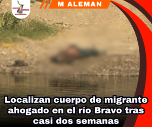 copia-de-portada-notas-2-1.png