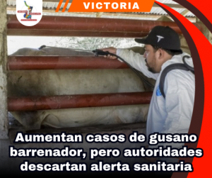 copia-de-portada-notas-2-1.png