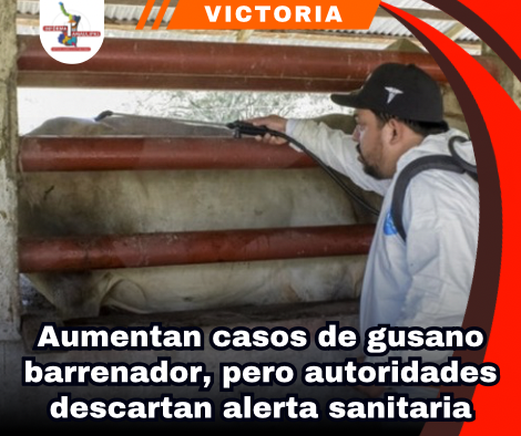 copia-de-portada-notas-2-1.png