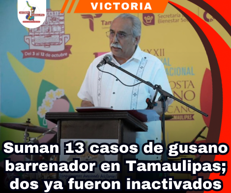 copia-de-portada-notas-2-1.png