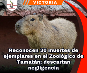 copia-de-portada-notas-2-2.png