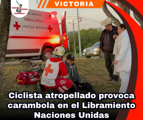copia-de-portada-notas-2-3.png