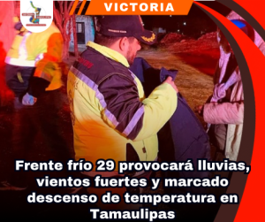copia-de-portada-notas-2-3.png
