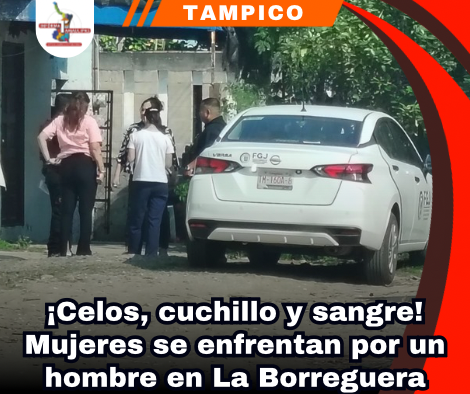copia-de-portada-notas-2.png