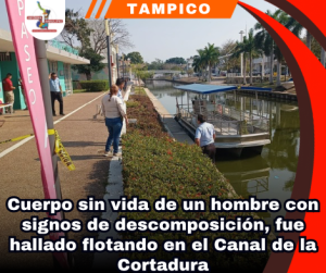copia-de-portada-notas-2.png