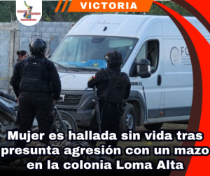 copia-de-portada-notas-2.png