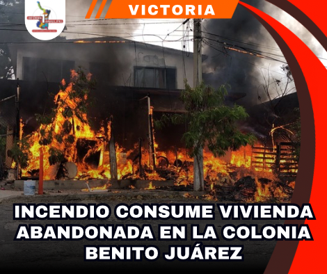 copia-de-portada-notas-2.png