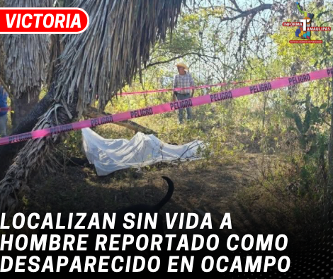 copia-de-copia-de-portada-notas-2-2.png