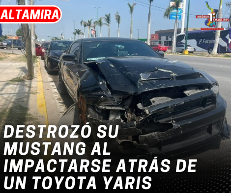 copia-de-copia-de-portada-notas-2-2.png