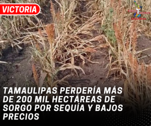 copia-de-copia-de-portada-notas-2-2.png