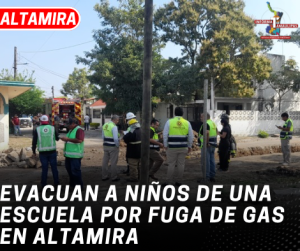 copia-de-copia-de-portada-notas-2-2.png