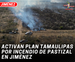 copia-de-copia-de-portada-notas-2-2.png