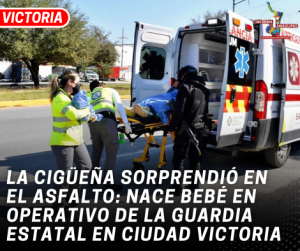 copia-de-copia-de-portada-notas-2-2.png