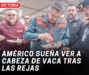 copia-de-copia-de-portada-notas-2-2.png