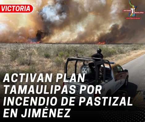 copia-de-copia-de-portada-notas-2-2.png