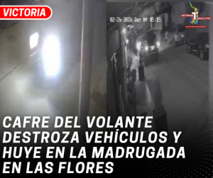 copia-de-copia-de-portada-notas-2-2.png