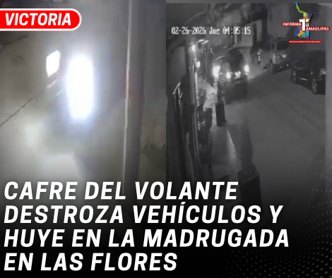 copia-de-copia-de-portada-notas-2-2.png
