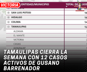copia-de-copia-de-portada-notas-2-2.png