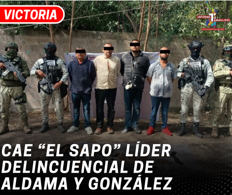 copia-de-copia-de-portada-notas-2-2.png