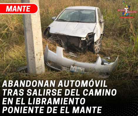 copia-de-copia-de-portada-notas-2-2.png