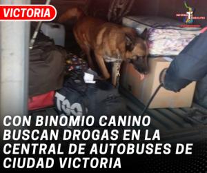 copia-de-copia-de-portada-notas-2-2.png