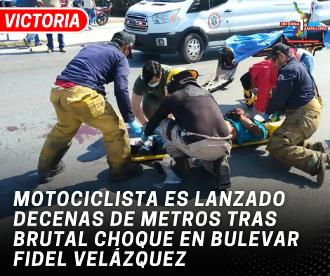 copia-de-copia-de-portada-notas-2-2.png