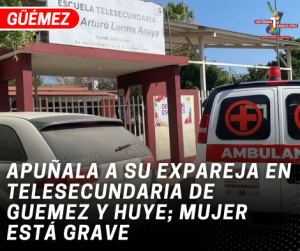 copia-de-copia-de-portada-notas-2-2.png