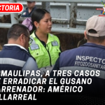 Tamaulipas, a tres casos de erradicar el gusano barrenador: Américo Villarreal