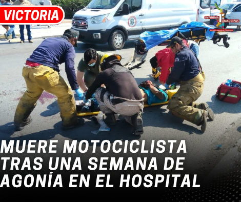 copia-de-copia-de-portada-notas-2-2.png