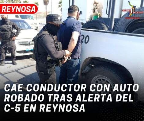 copia-de-copia-de-portada-notas-2-2.png