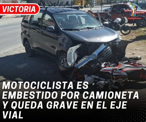 copia-de-copia-de-portada-notas-2-4.png