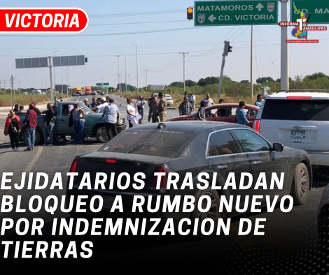 copia-de-copia-de-portada-notas-2-4.png