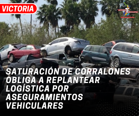copia-de-copia-de-portada-notas-2-4.png